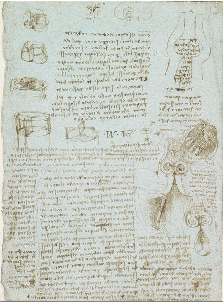 Леонардо да Винчи, Исследования аортального клапана и формы для стеклянной модели (c 1513, Windsor Castle, Royal Library, Royal Collection Trust, 19082r) Leonardo's philosophical anatomies The Lancet, 393 (2019) 1404-1408. doi:10.1016/S0140-6736(19)30584-7